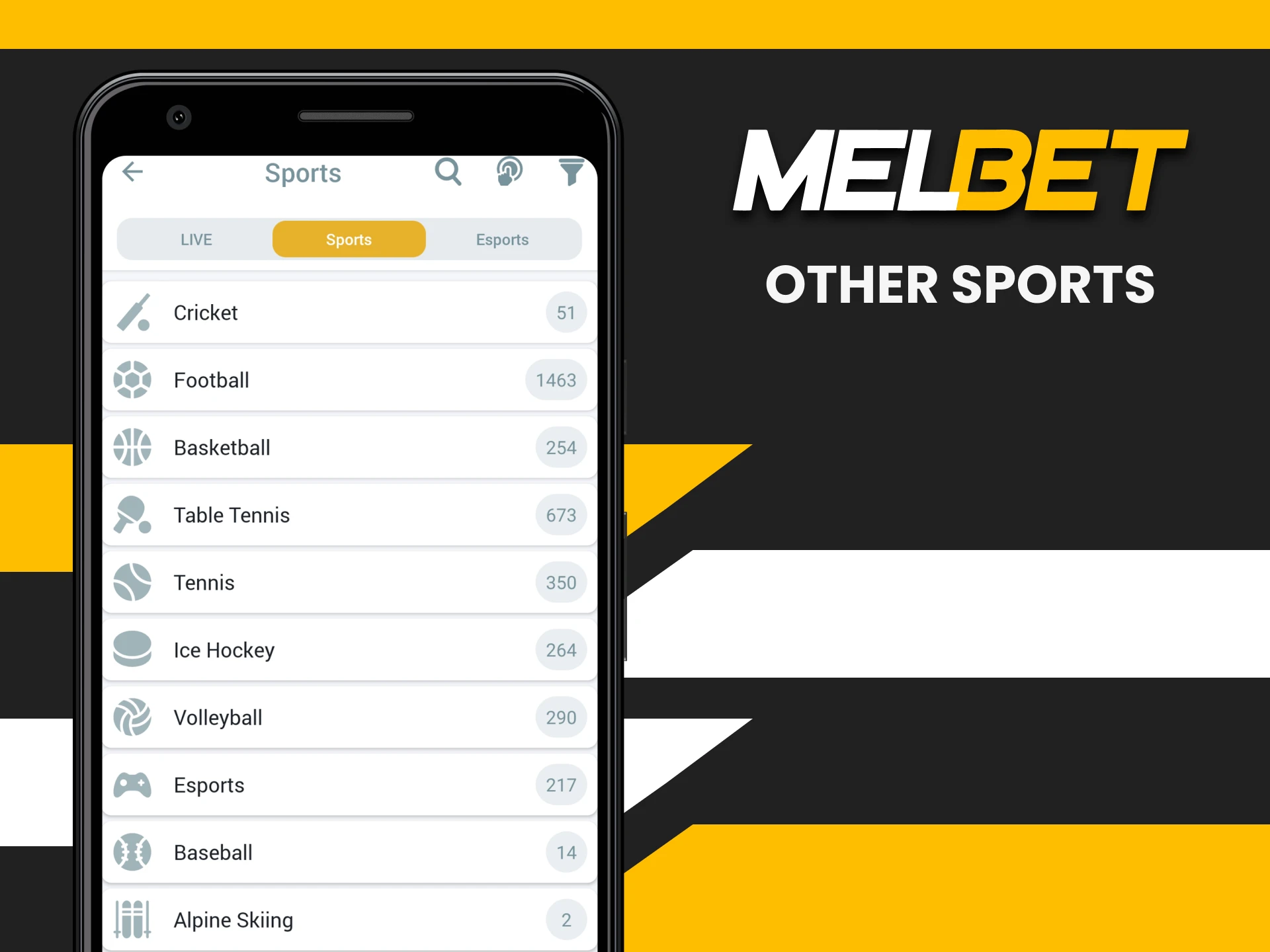 Choose your sport to bet on Melbet.