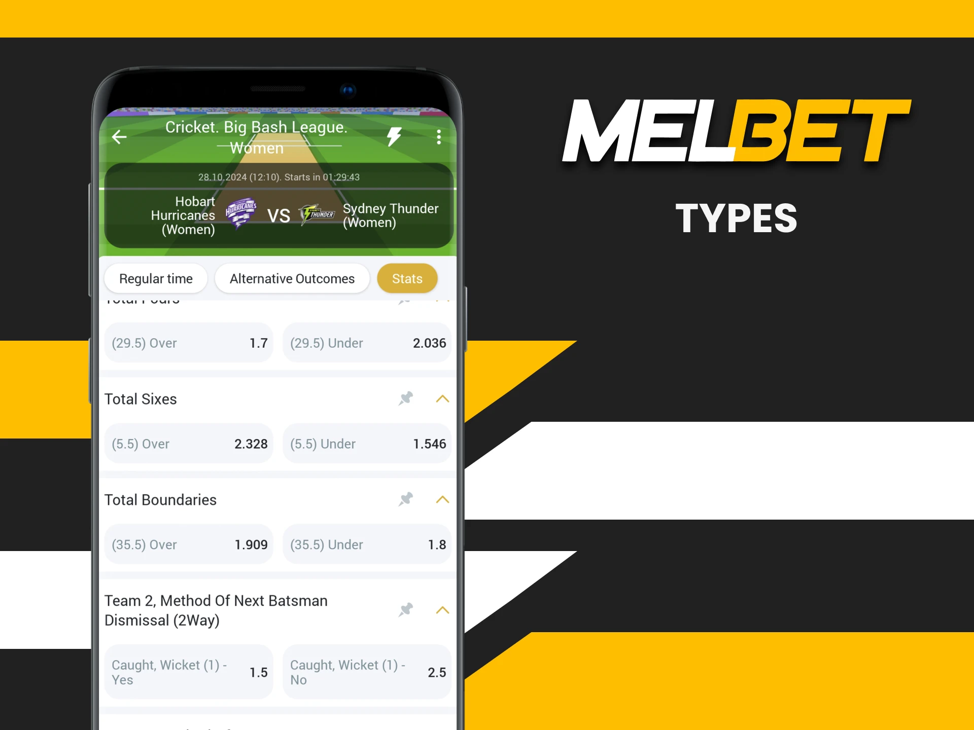 We will tell you about the types of cricket bets from Melbet.