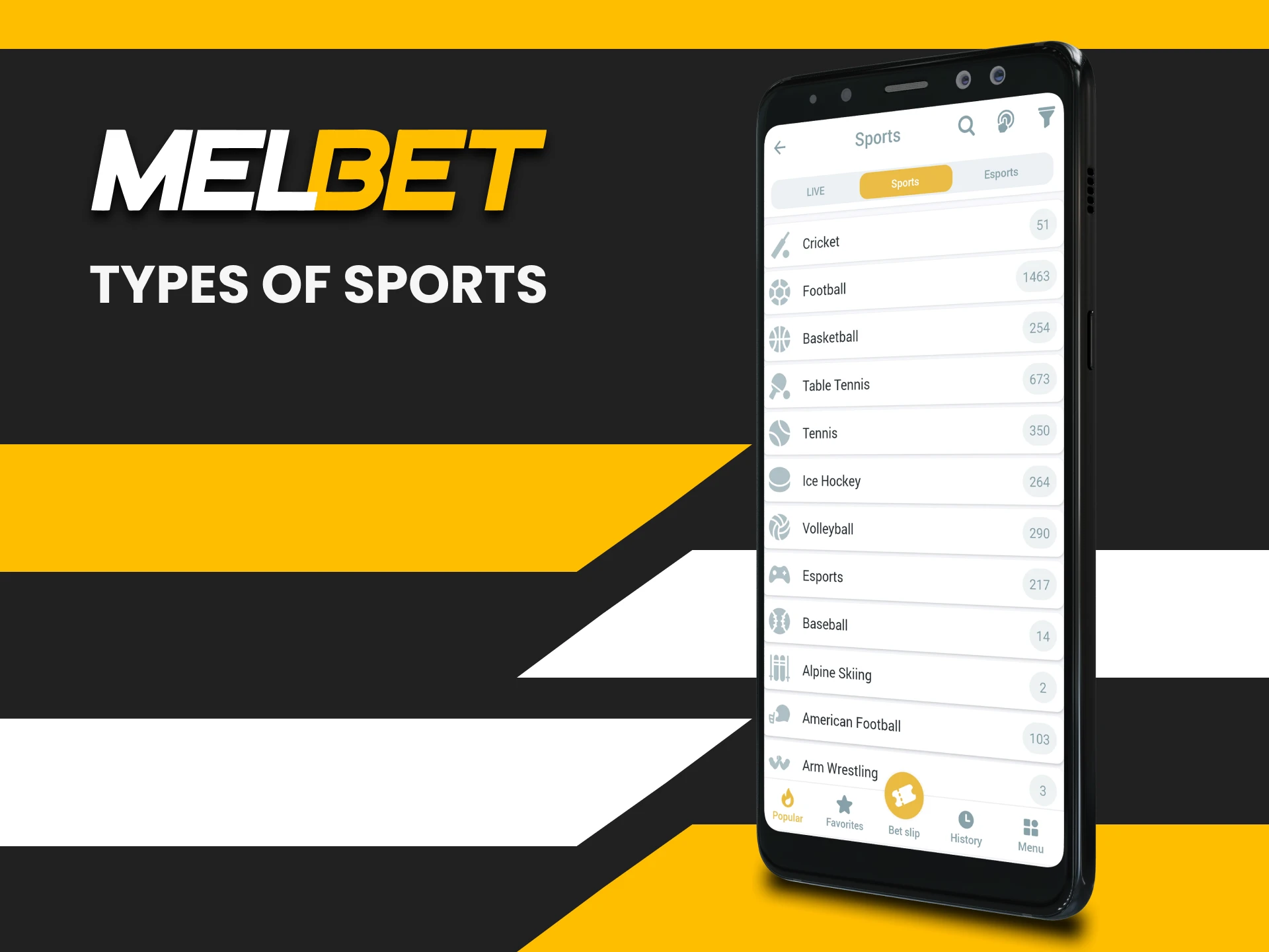 Choose your sport to bet on Melbet.