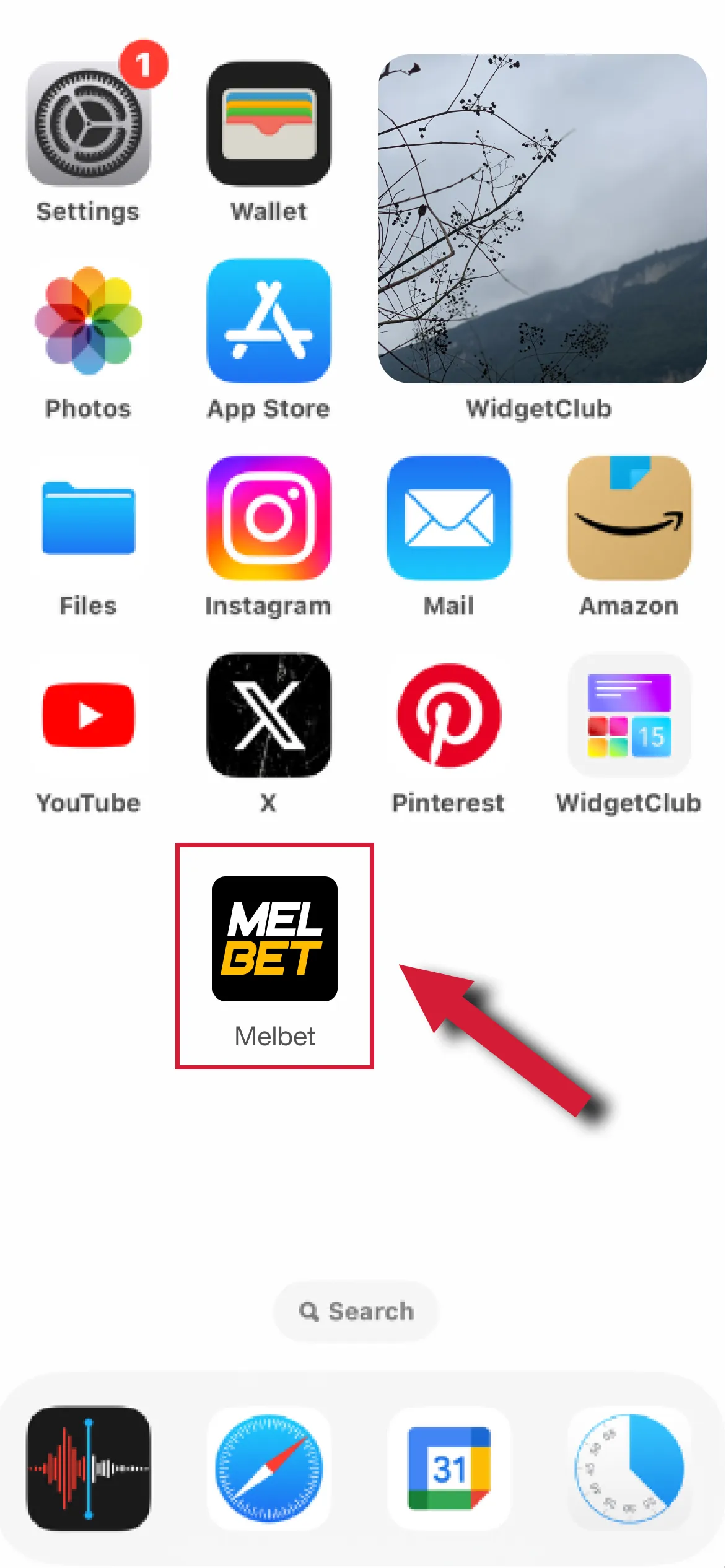 Open Melbet betting app on your Android or iOS device.