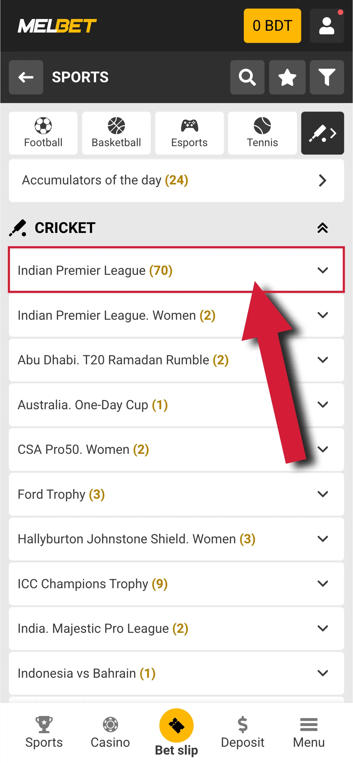 Choose IPL bets in Melbet app for cricket.